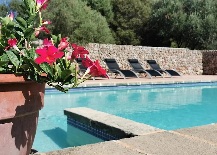 Cucurutxa Dom wakacyjny *